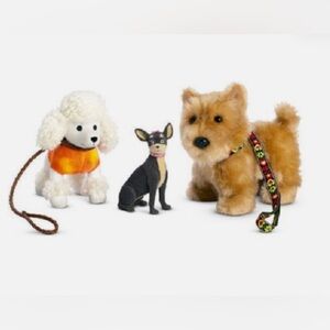 American Girl Doll Julie's Dog Walking Set, NIB